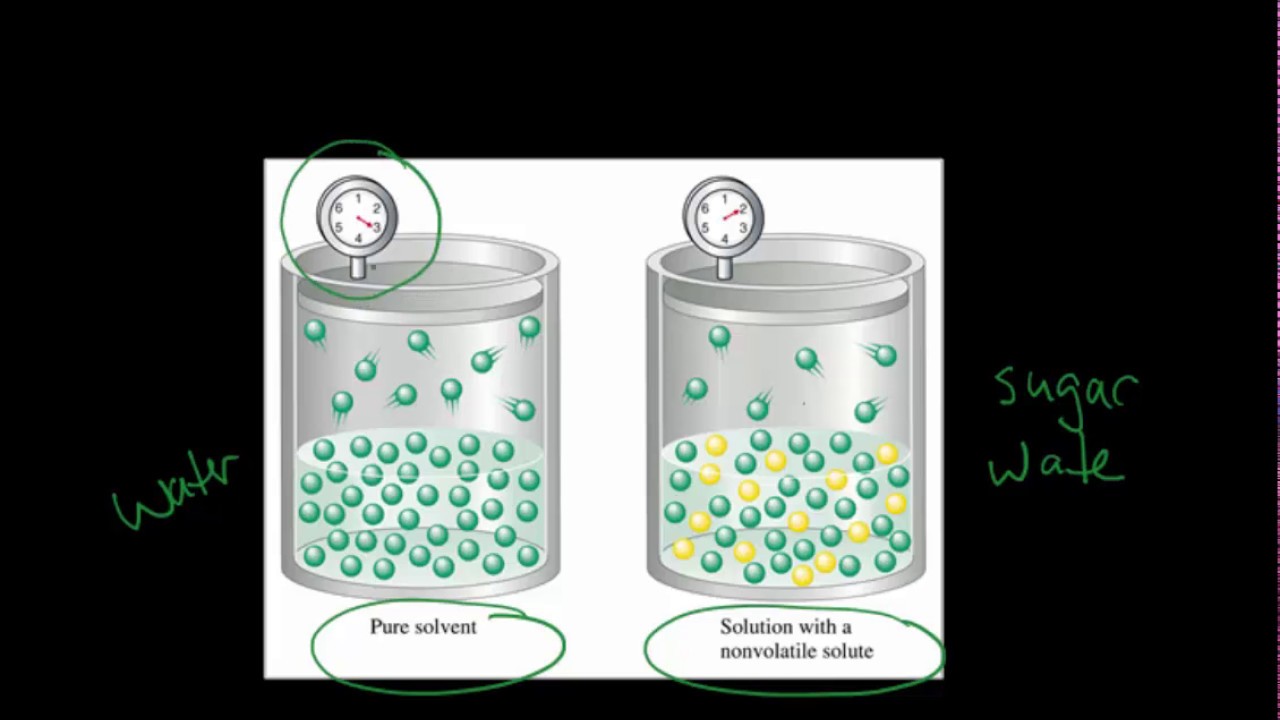 Vapor Pressure lowering : Explaining Raoults Law