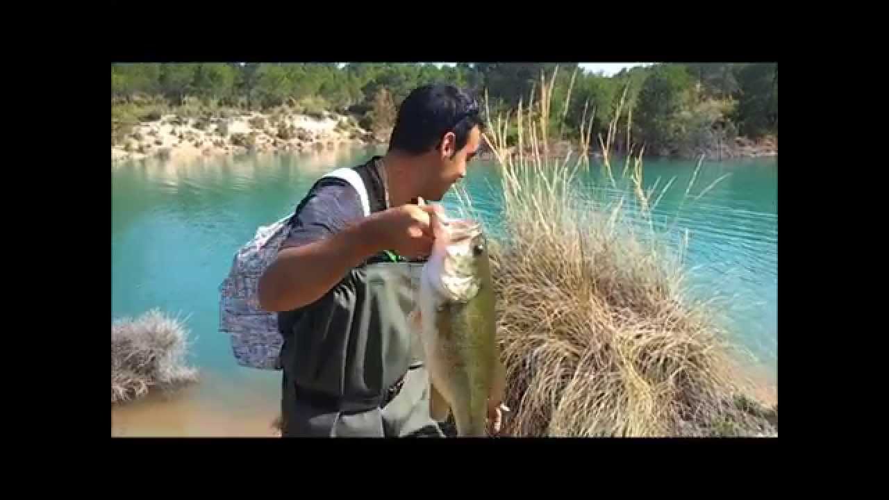 TRAS LOS BASES DEL CENAJO