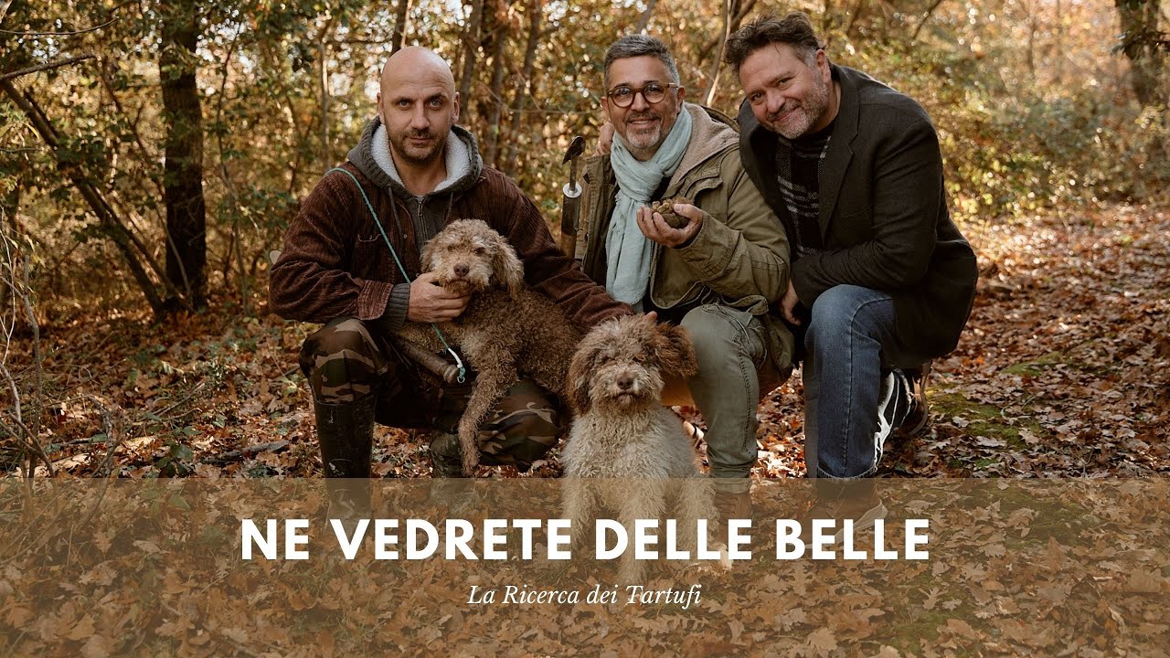 IL TARTUFO DAL BOSCO AL NOSTRO PIATTO - Ne Vedrete Delle Belle