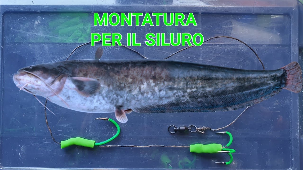 MONTATURA PER IL SILURO
