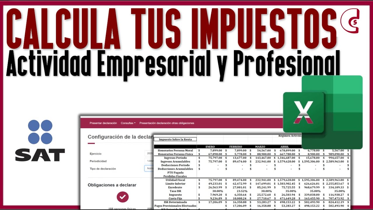 Tablas de Cálculo Excel para Impuestos Actividad Empresarial y Profesional
