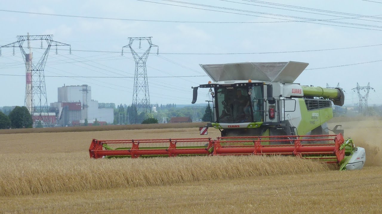 Moisson d'orge 2k25 - AD Cachera 