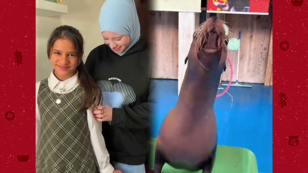 🤣👌👌👌2026 pov Must-Watch Crazy Clips Compilation  #humor #fypシ #pov #fyp #foryou #funny  😍😜