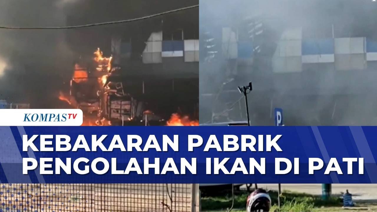 Diduga Korsleting Listrik, Pabrik Pengolahan Ikan di Pati  Kebakaran | KOMPAS PETANG