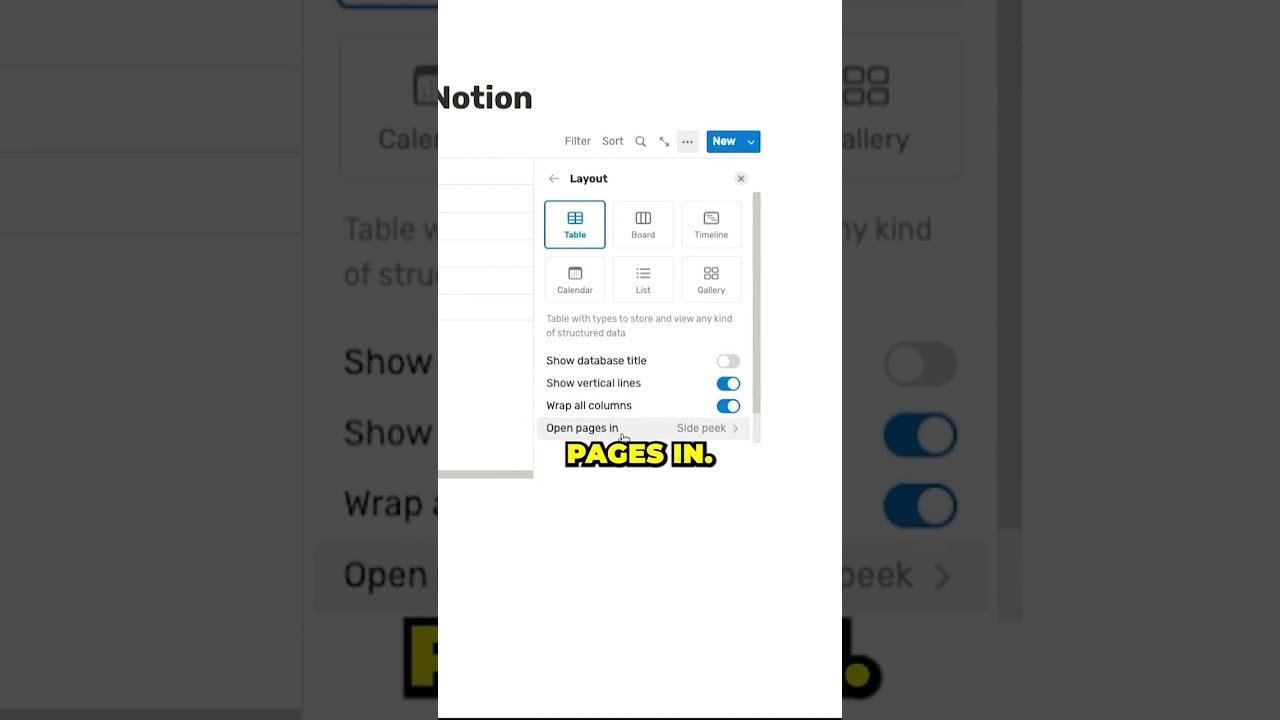 Notion's Peek Page Previews! (Change the way you view Notion pages)