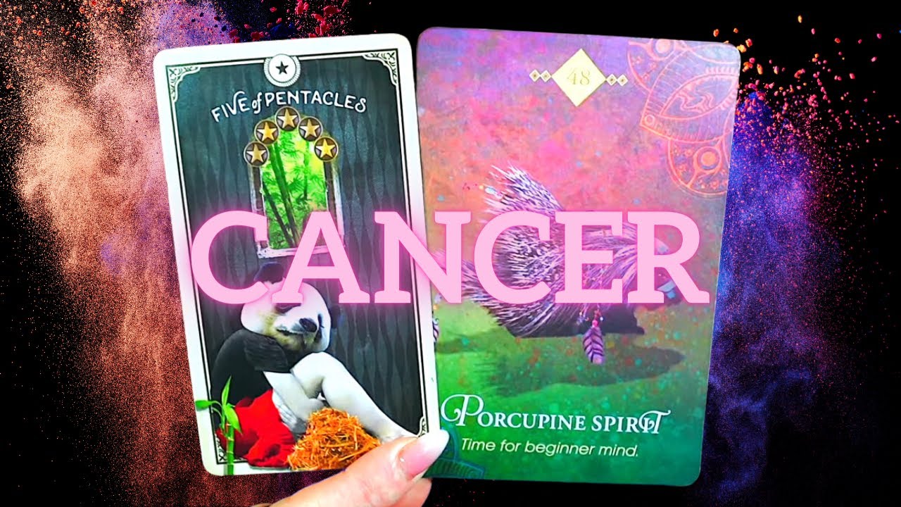 CANCER THEY’RE BEYOND OBSESSED WITH YOU❤️AN UGLY TRUTH REVEALED IN FRONT OF EVERYONE😱FEBRUARY 2026