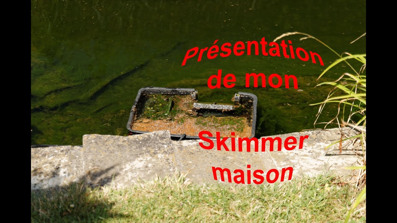 Skimmer de bassin fait maison