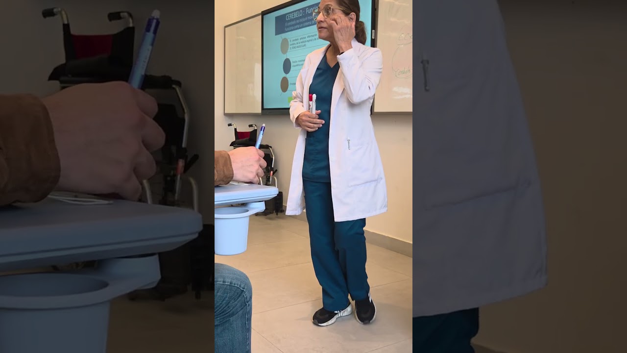 CEREBELO ANATO TEORIA DOCTORA ERIN 