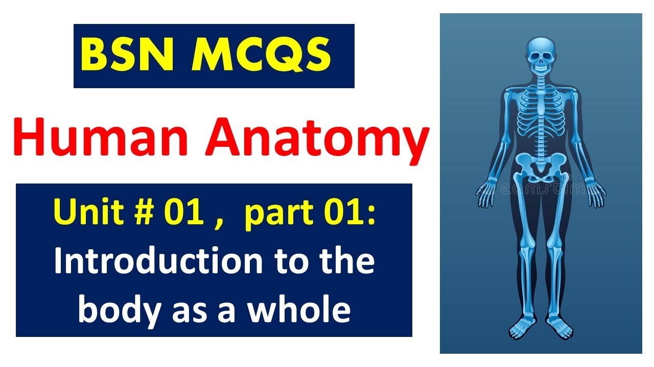 Human Anatomy MCQs | Unit no 01 P-1, | BSN Graduates