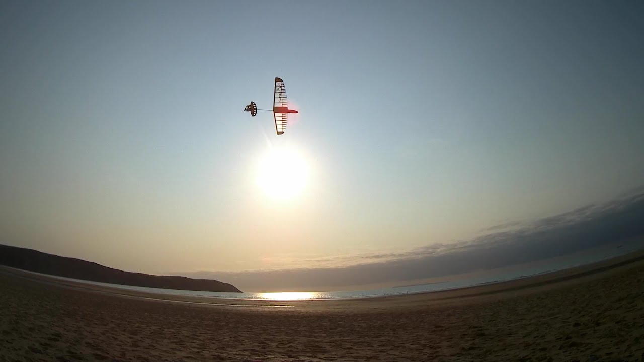 Pug Dlg glider on the beach dune gooning.
