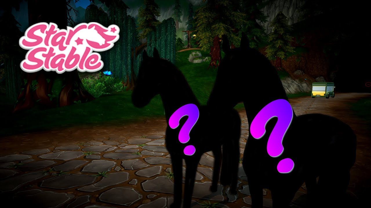 Star Stable | Kupujemy nowe konie do serialu :0