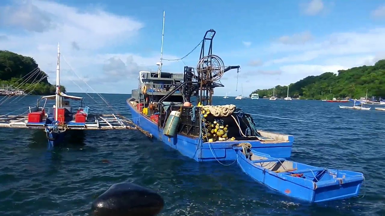 Tambobo Bay : Siaton, Negros Oriental