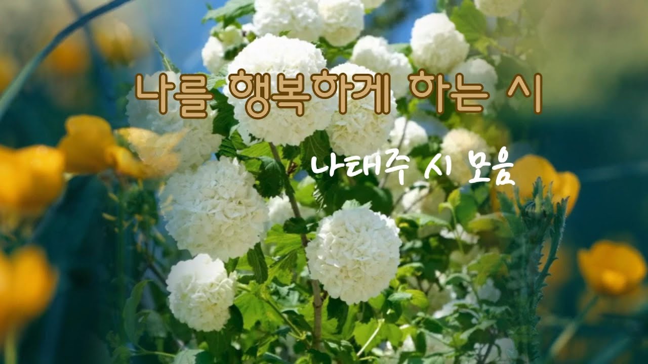 나태주 대표시  나를  행복하게  하는  시