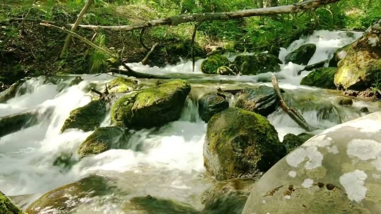 Очищение от лярв, негативных пиявок на физическом теле.