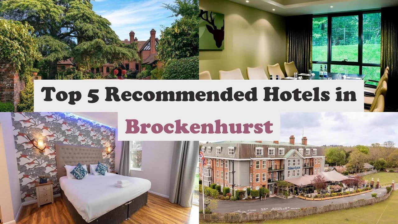 Top 5 Recommended Hotels In Brockenhurst | Best Hotels In Brockenhurst