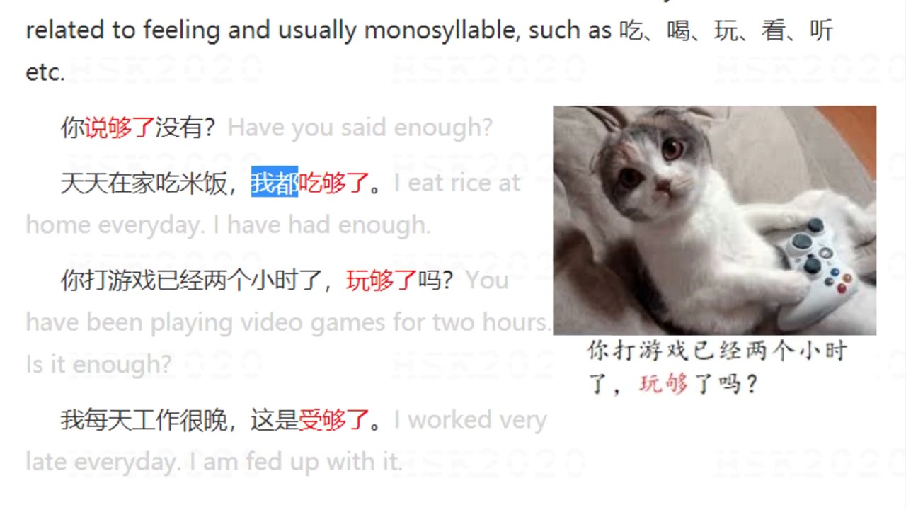 HSK4 Grammar【够 Enough... 】