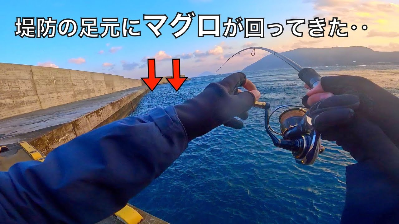 釣り人生最大の衝撃。堤防の足元でマグロをかけた結果‥