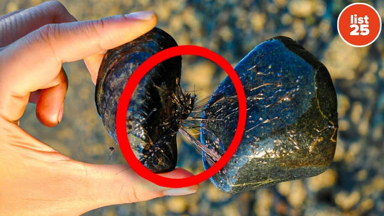 25 Facts More Interesting Than Anything You&rsquo;ll Find on Google