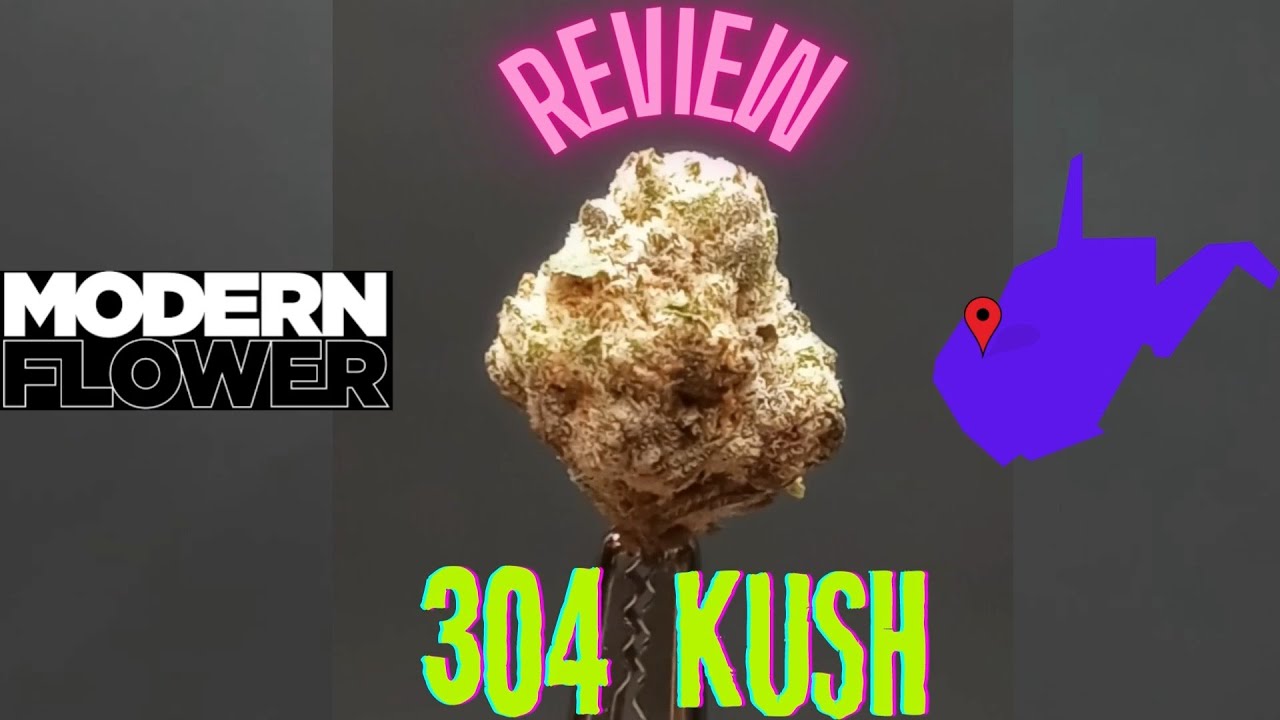 Modern Flower 304 Kush Flower Review