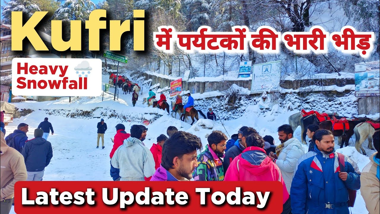 Kufri Latest Update | Heavy Snowfall Kufri #kufrilatestupdate #shimlasnowfall #kufrishimlasnowfall