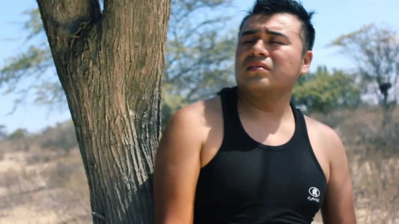 ARBOL SIN HOJAS - CIELO SERRANO ( VIDEO CLIP OFICIAL - DANITZA)