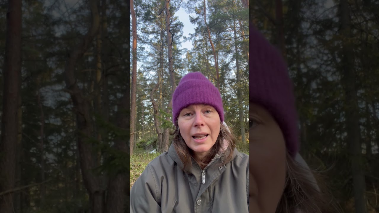 Лунная теория от Жасмин Боланд - 8 февраля - Луна в Скорпионе - Остерегайтесь нарастающих эмоций!!