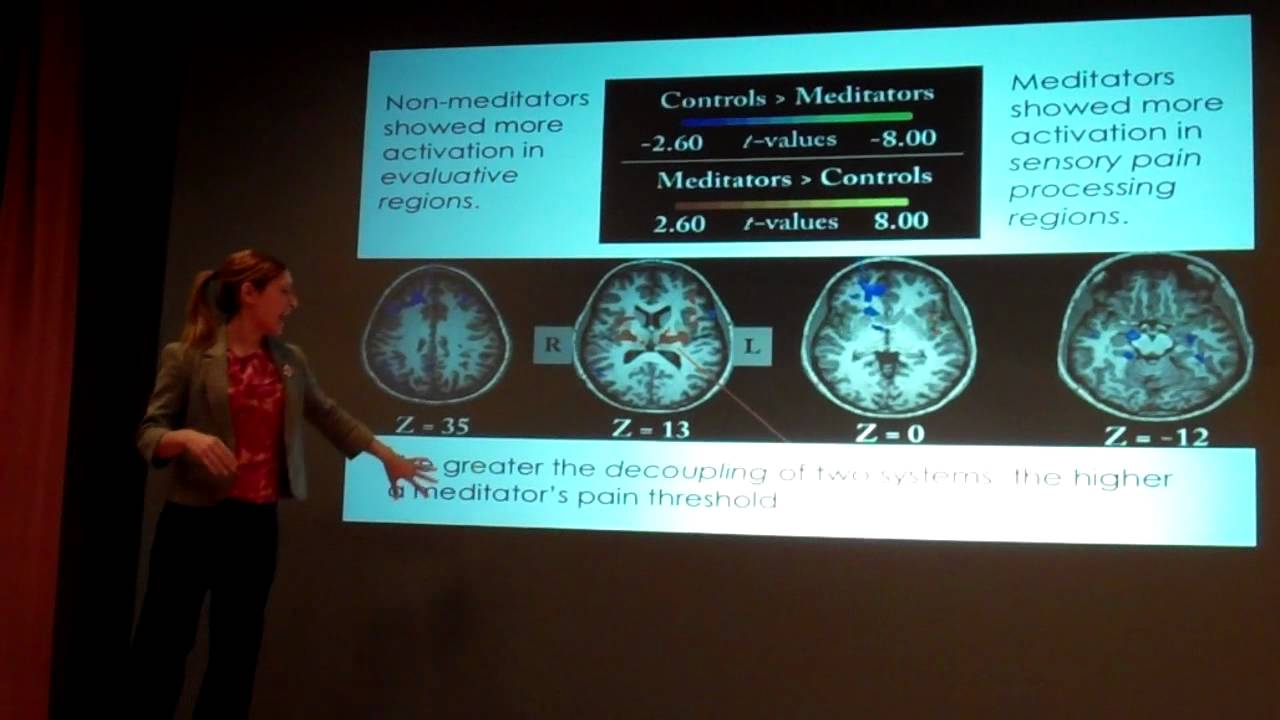 What Science Can Teach Us About Practice: The Neuroscience of Mindfulness
