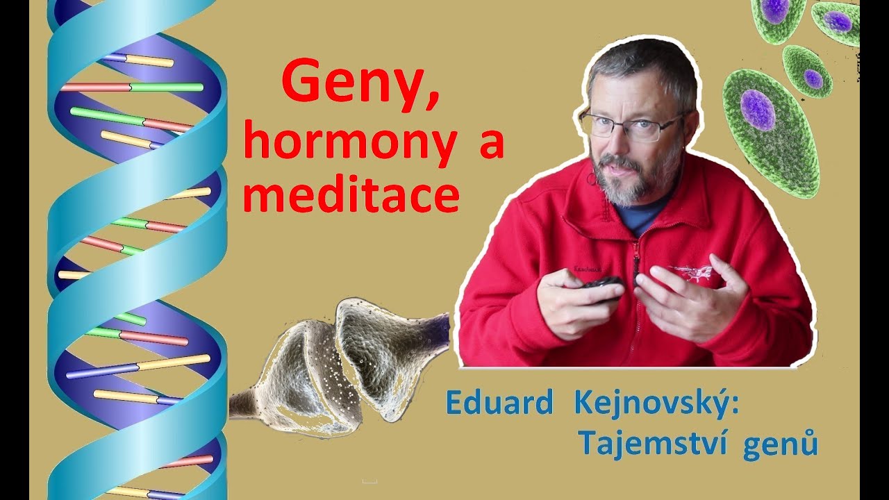 Geny, hormony a meditace (Tajemství genů 88)