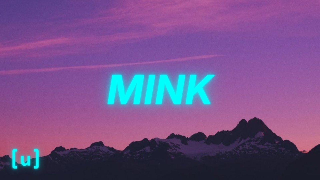 RosarioRay - MINK (Lyrics) 