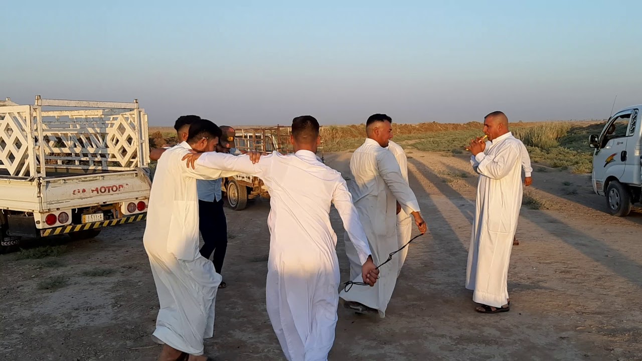 جوبي شباب الكراده والدلفيه 🕺🕺😍😍