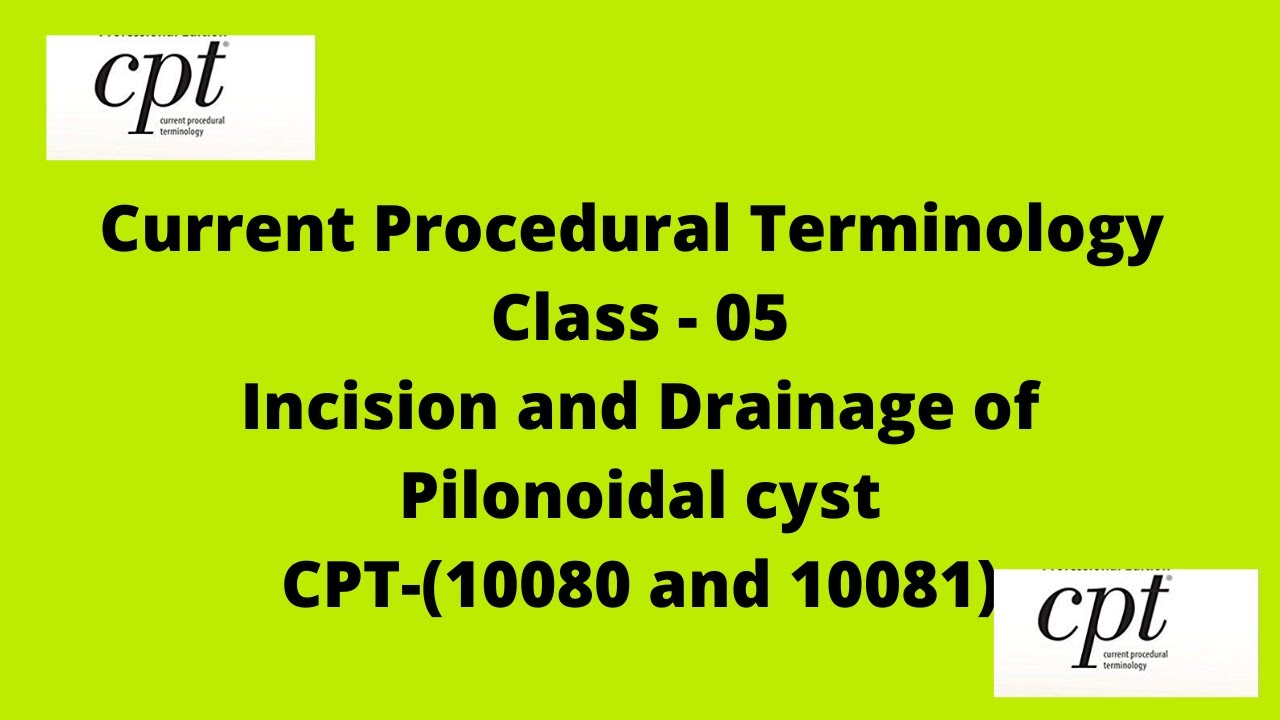 CPT - Incision and Drainage of Pilonoidal cyst | 10080 & 10081 |