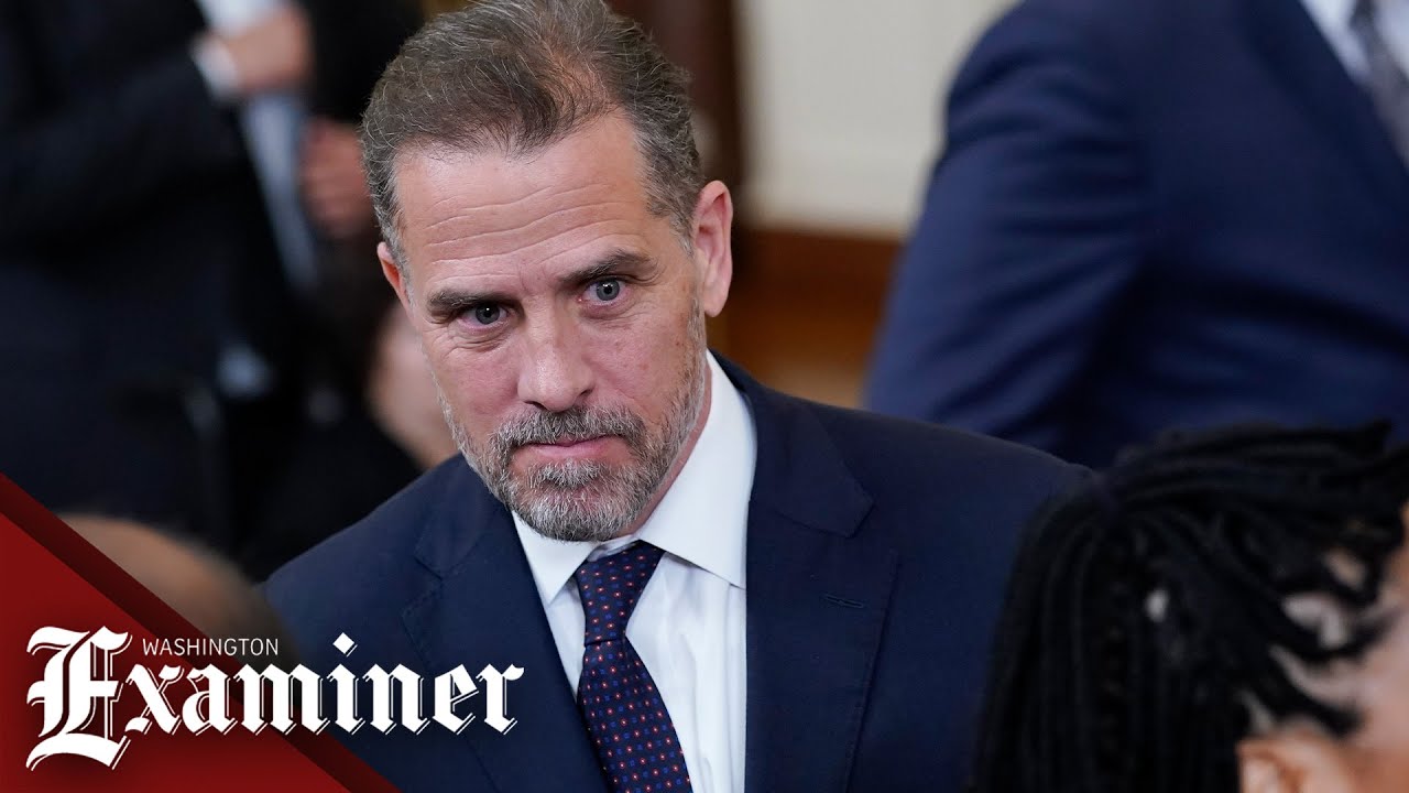 4chan users claim to have cracked Hunter Biden's iPhone