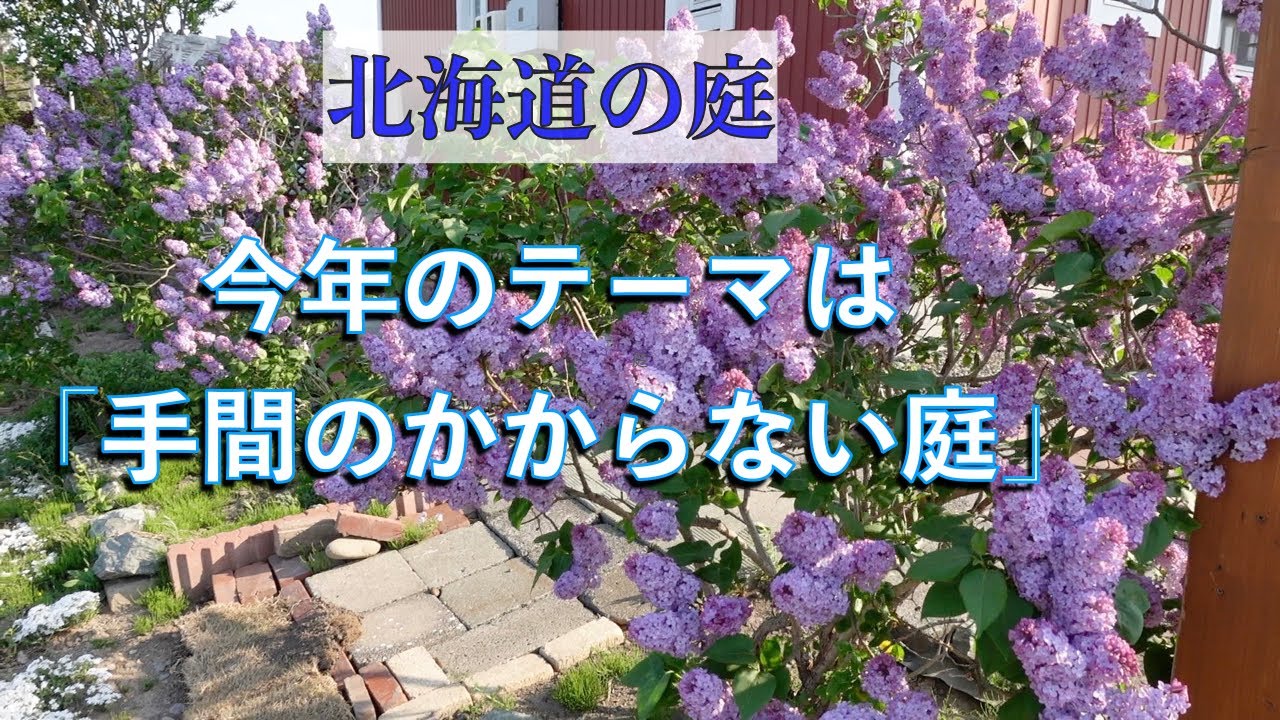 庭始動　今年のテーマは「手間のかからない庭」