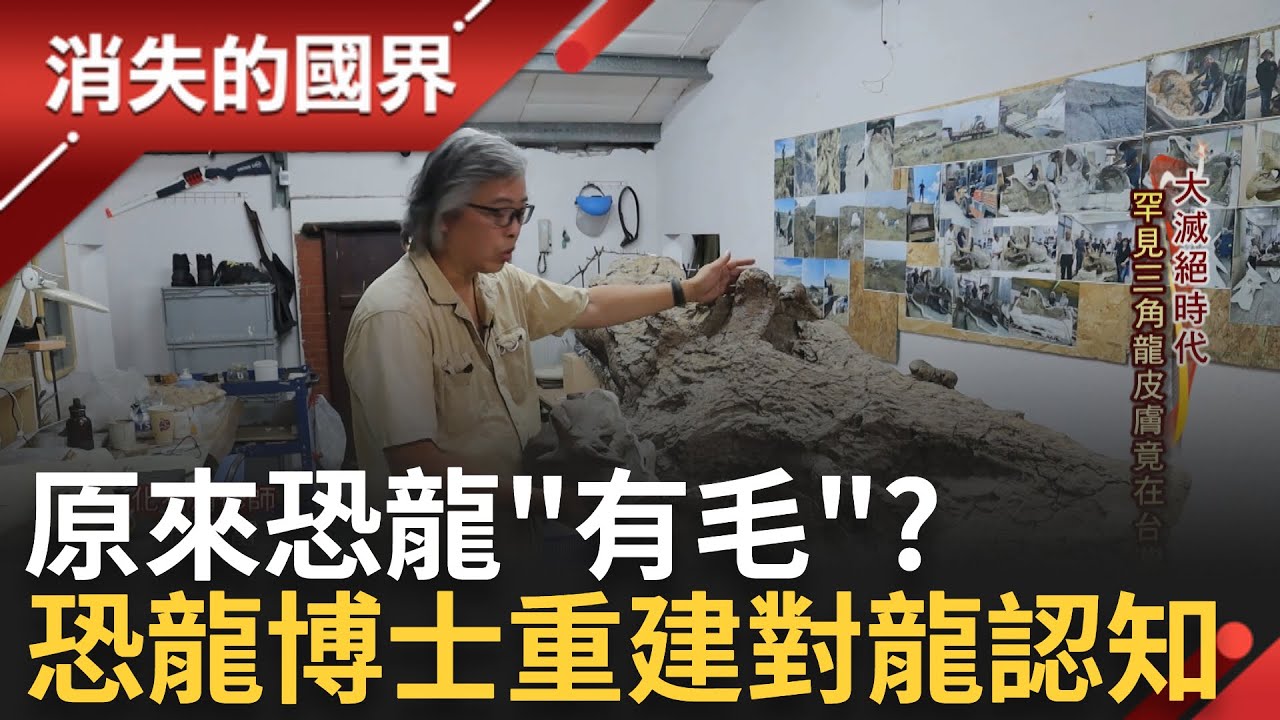 SUB｜罕見三角龍皮膚竟在台灣! 頂尖職人
