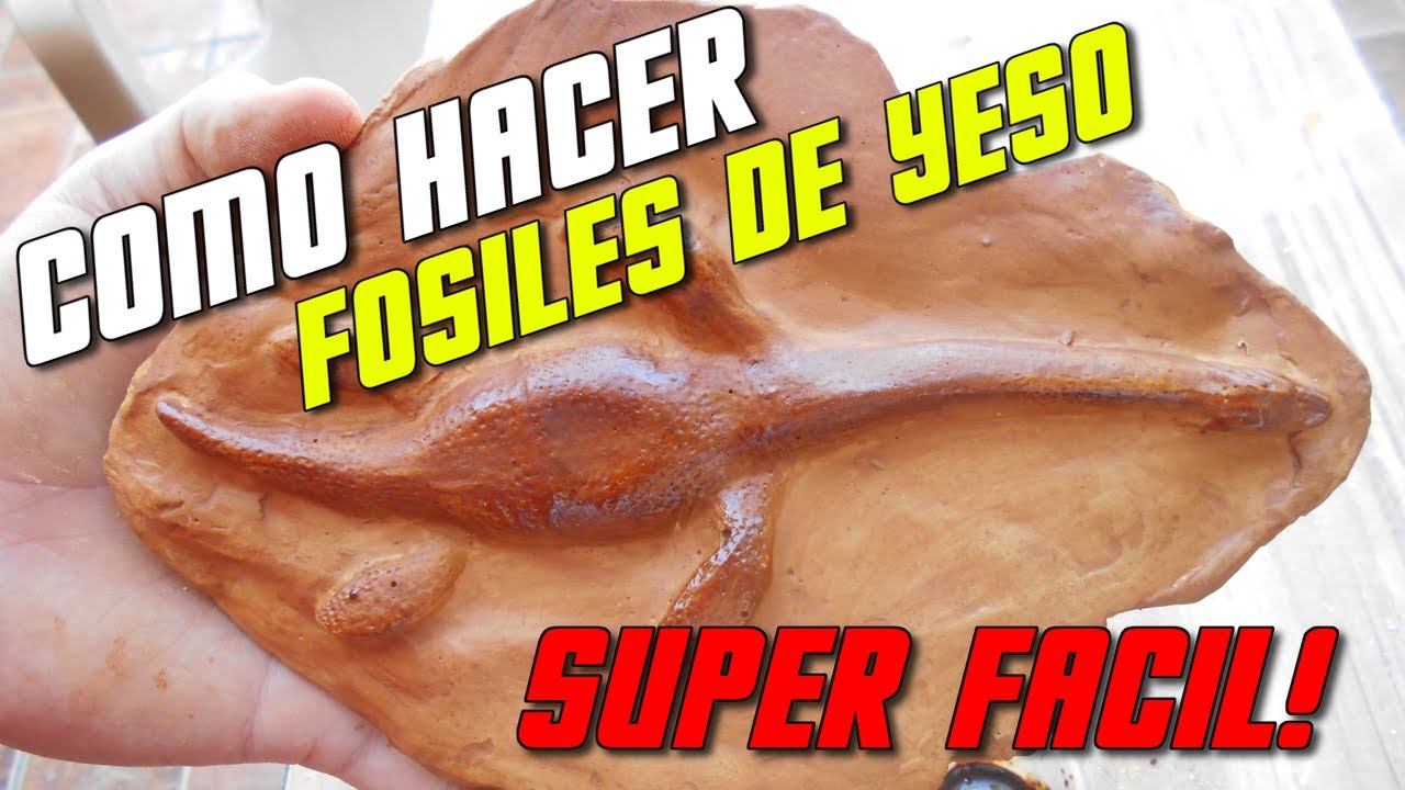 Como hacer fósiles con yeso. Paso x paso