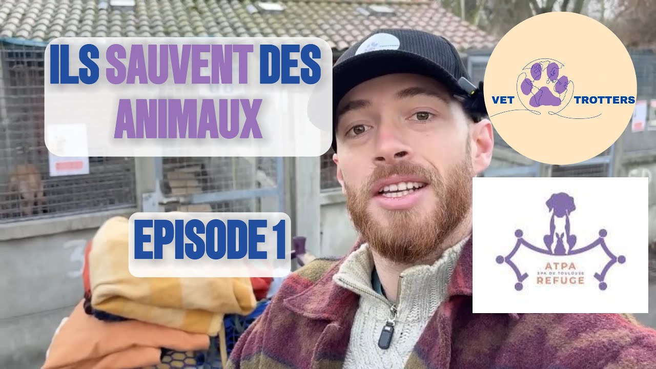 Au coeur des refuges pour animaux - épisode 1 @ATPASPAdeToulouse