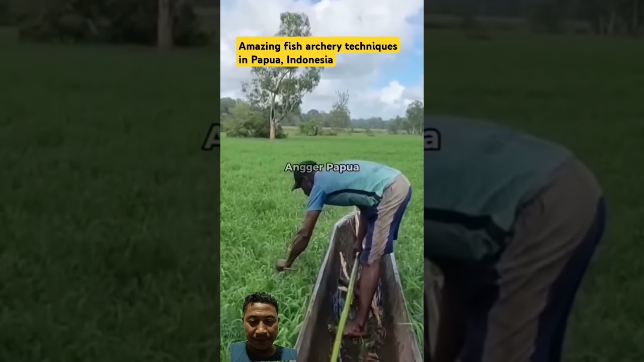 Amazing fish archery techniques in Papua, Indonesia #fishing #fish #papua #indonesia #amazing