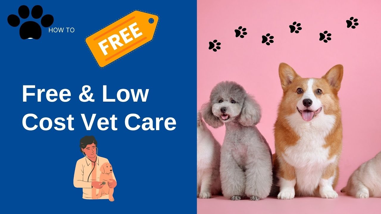 🐶🐱How To Get Free Or Low Cost Veterinary Care ~ 24 Different Resources ~ (Vlog) ~