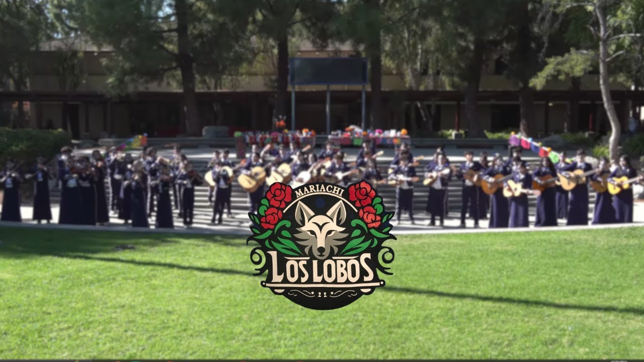 Mariachi Los Lobos - Día De Los Muertos Performance