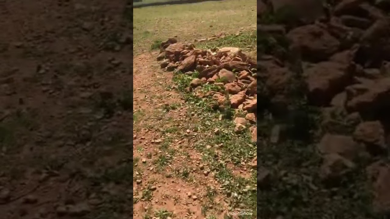 ارض للبيع بالصويرة اوناغة المساحة 1200 متر الاوراق عدلية شهادة إدارية تمن البيع 13 مليون