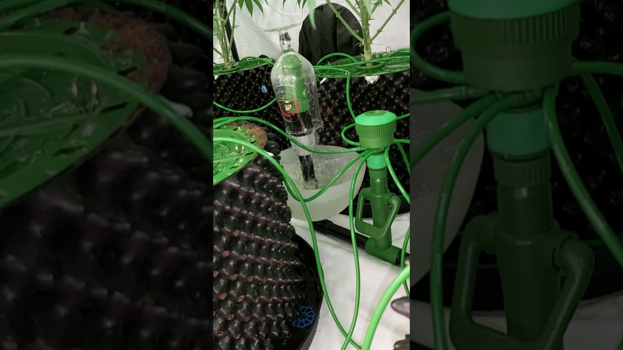 floraflex air bleed problems