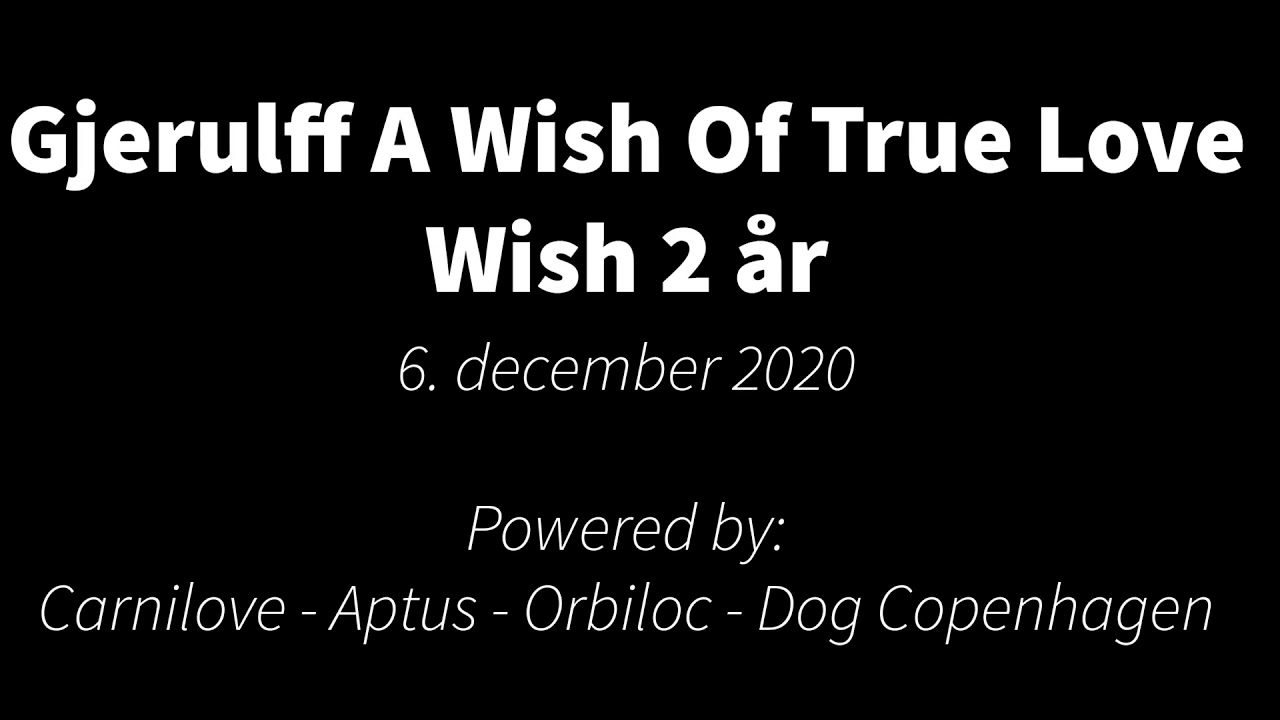 Wish agilitytræning