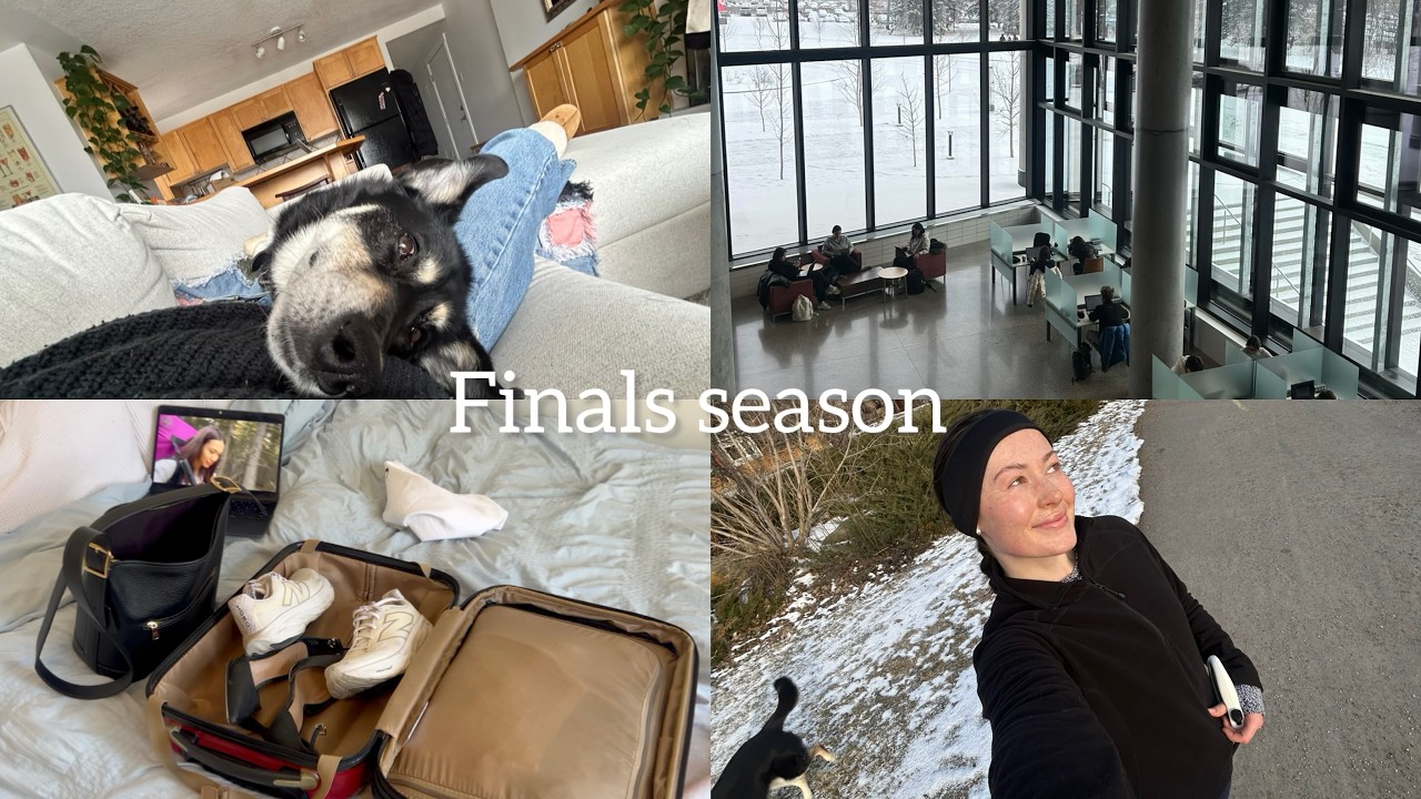 Study with me! finals season 2026