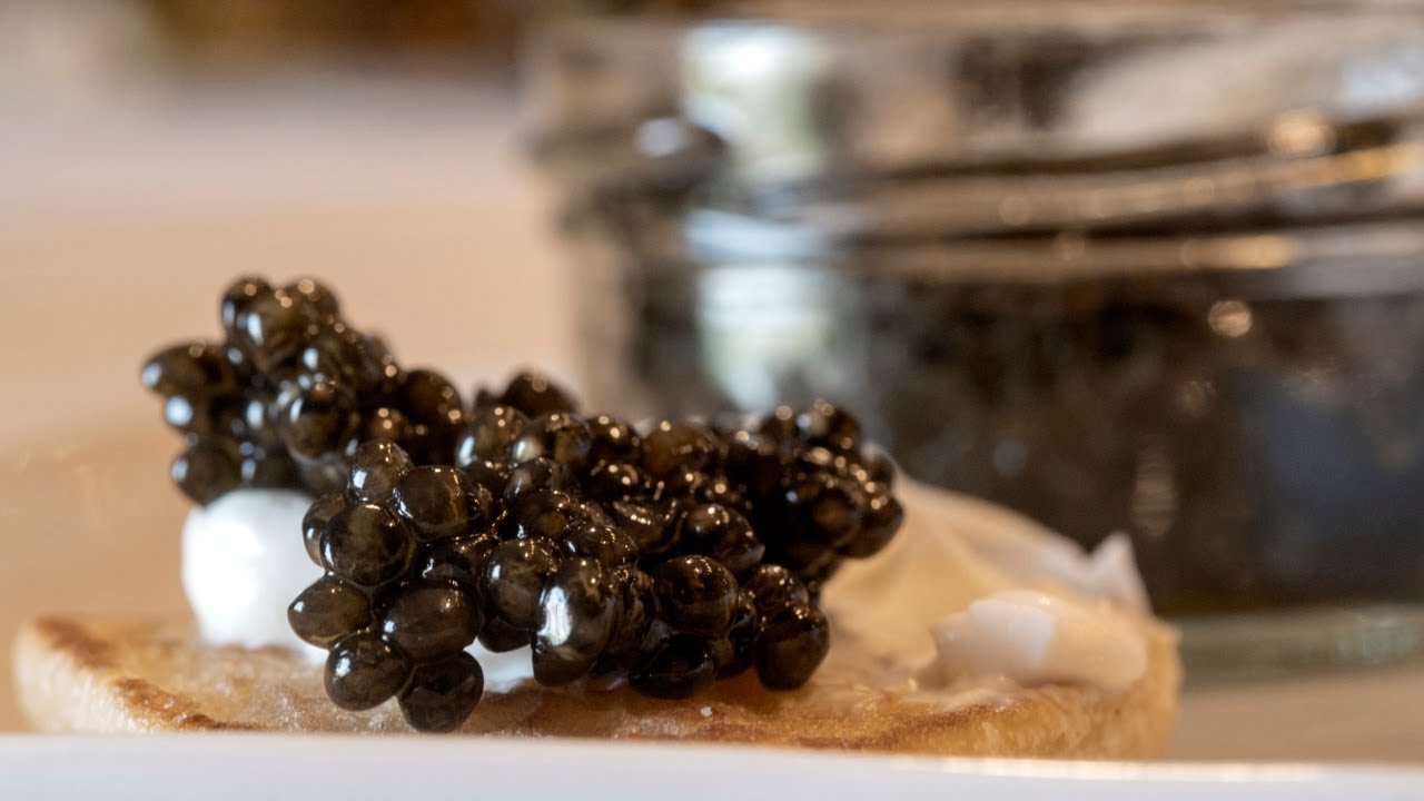 It's Fishy and Delishy: Go Inside Tsar Nicoulai’s Sacramento County Caviar Farm