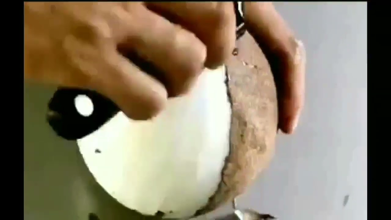 coconut brown skin peeling blade from japanese sharp material