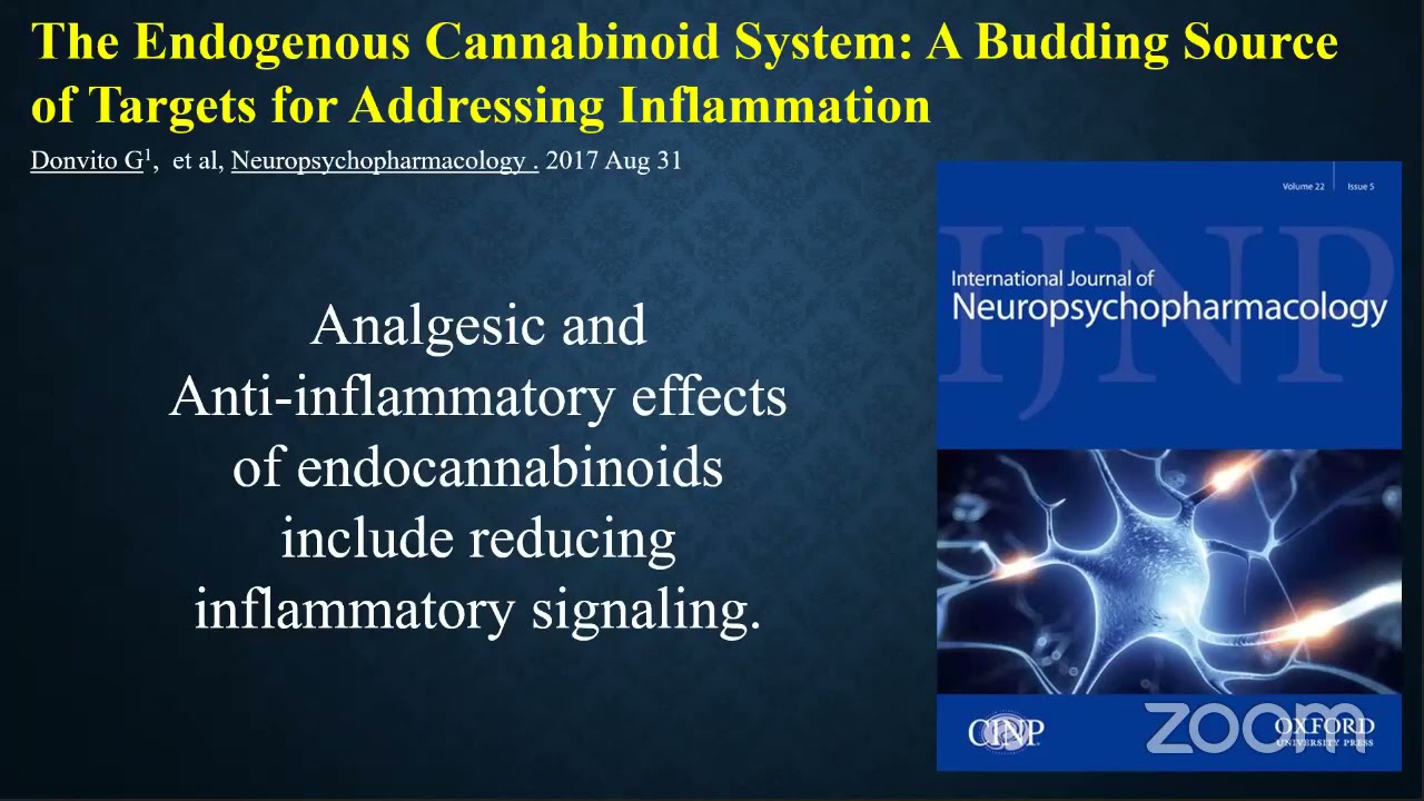 Hemp Your Health with Carl Germano author of Road to Ananda