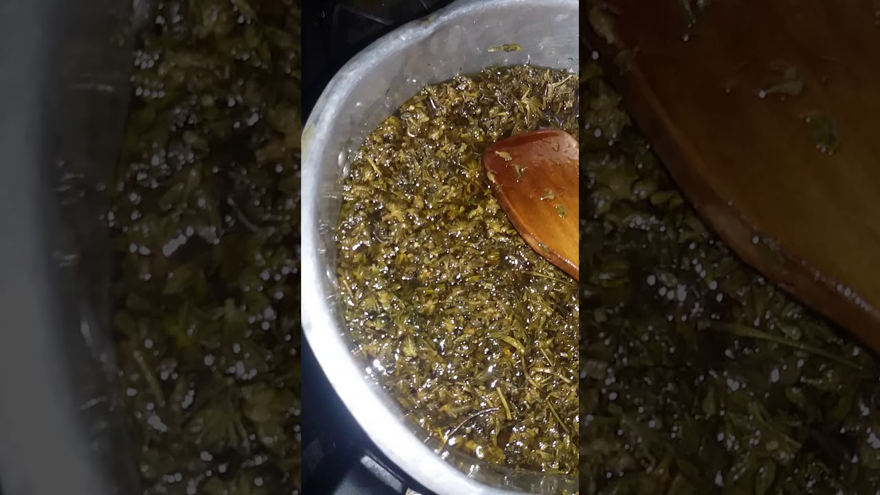 #DonTricomaking  #AutoCultivo #20SonLegales #PomadasCannabica