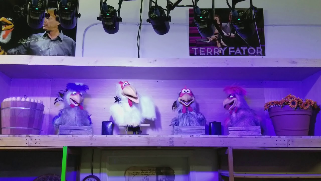 Animatronic Chickens- GRAPEVINE