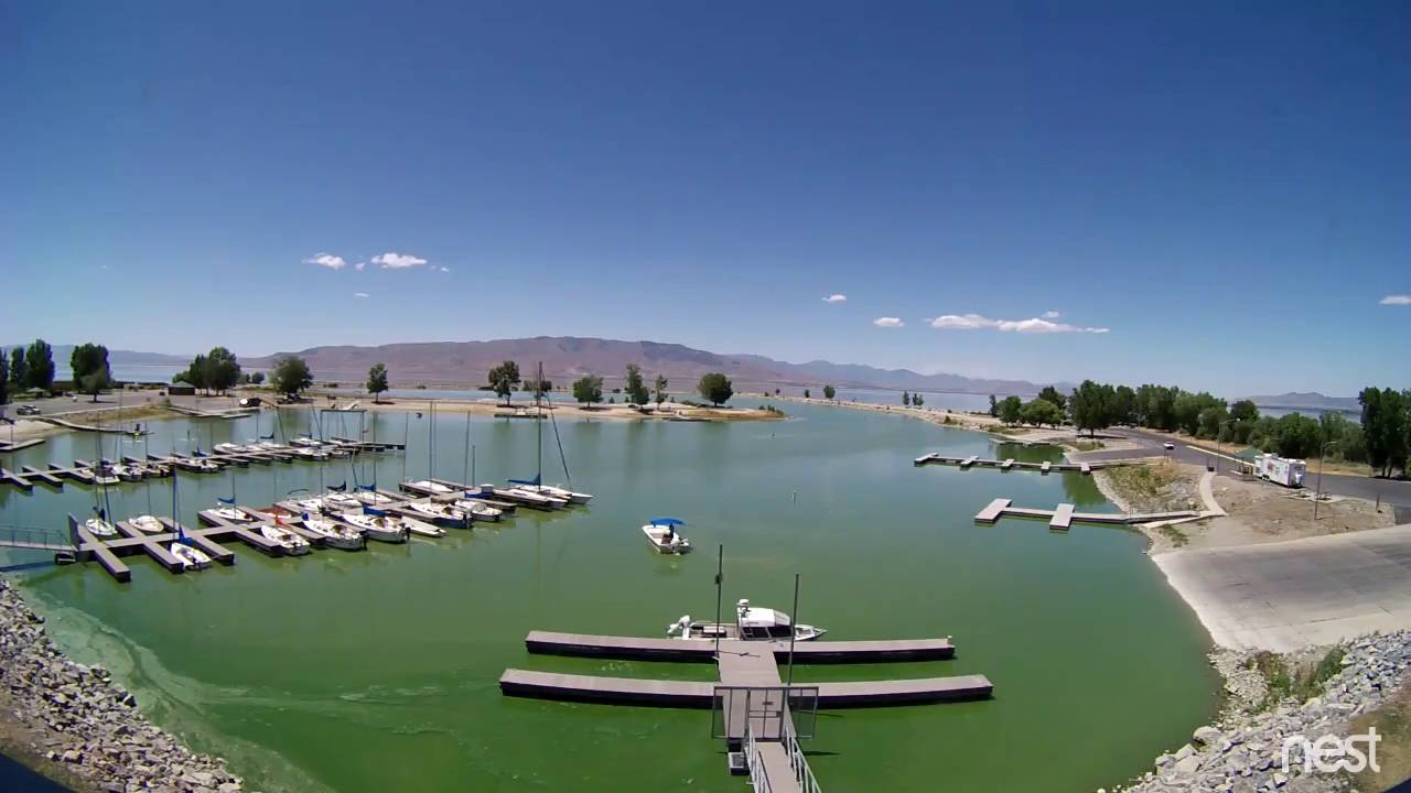 Time-lapse video of algae growth in Utah Lake