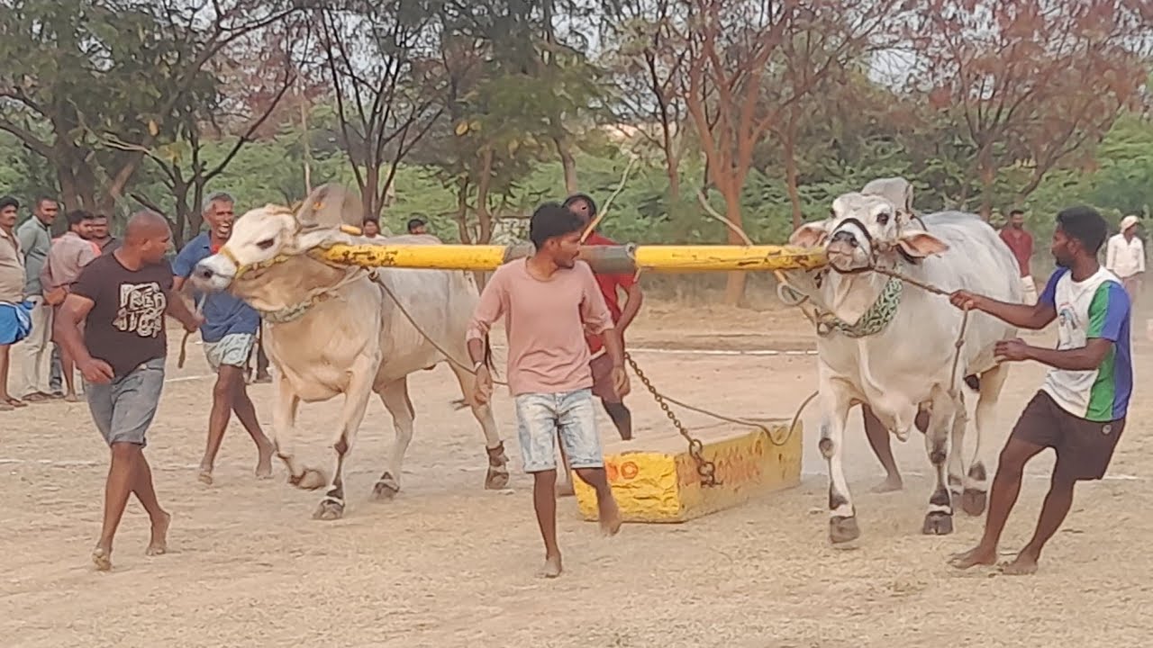 💥🌾చెంచుకాలనీ న్యూ కేటగిరి విభాగానికి 5 వజత గారు💥28-02-2026💥